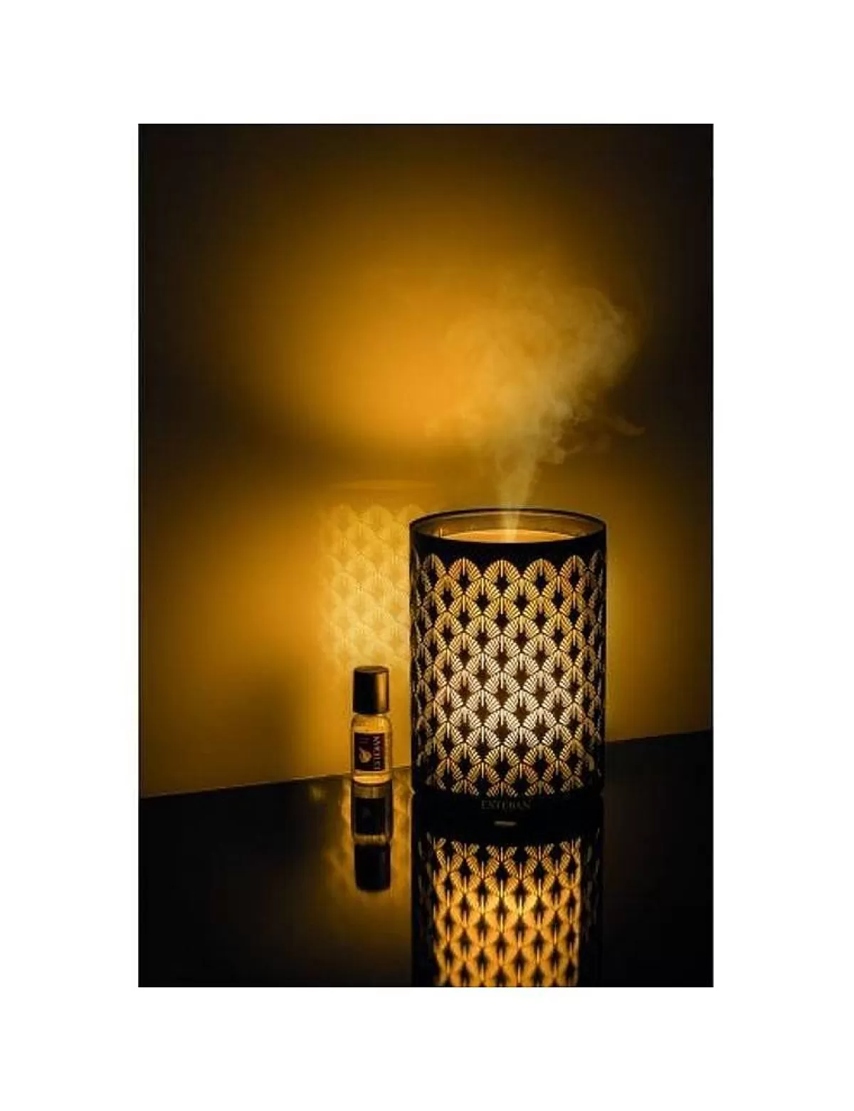 Esteban Diffuseur Brume De Parfum Lectrique^ Diffuseur De Brume