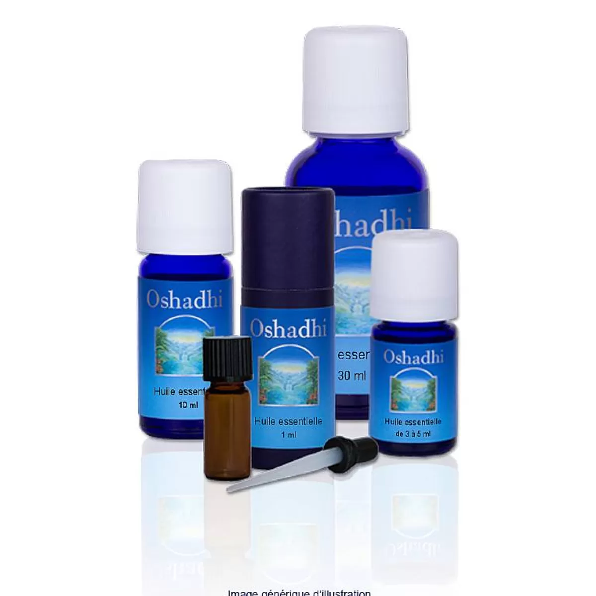 Oshadhi Huile Essentielle Eucalyptus Staige. Bio^ Huiles Essentielles Muscles Et Articulations