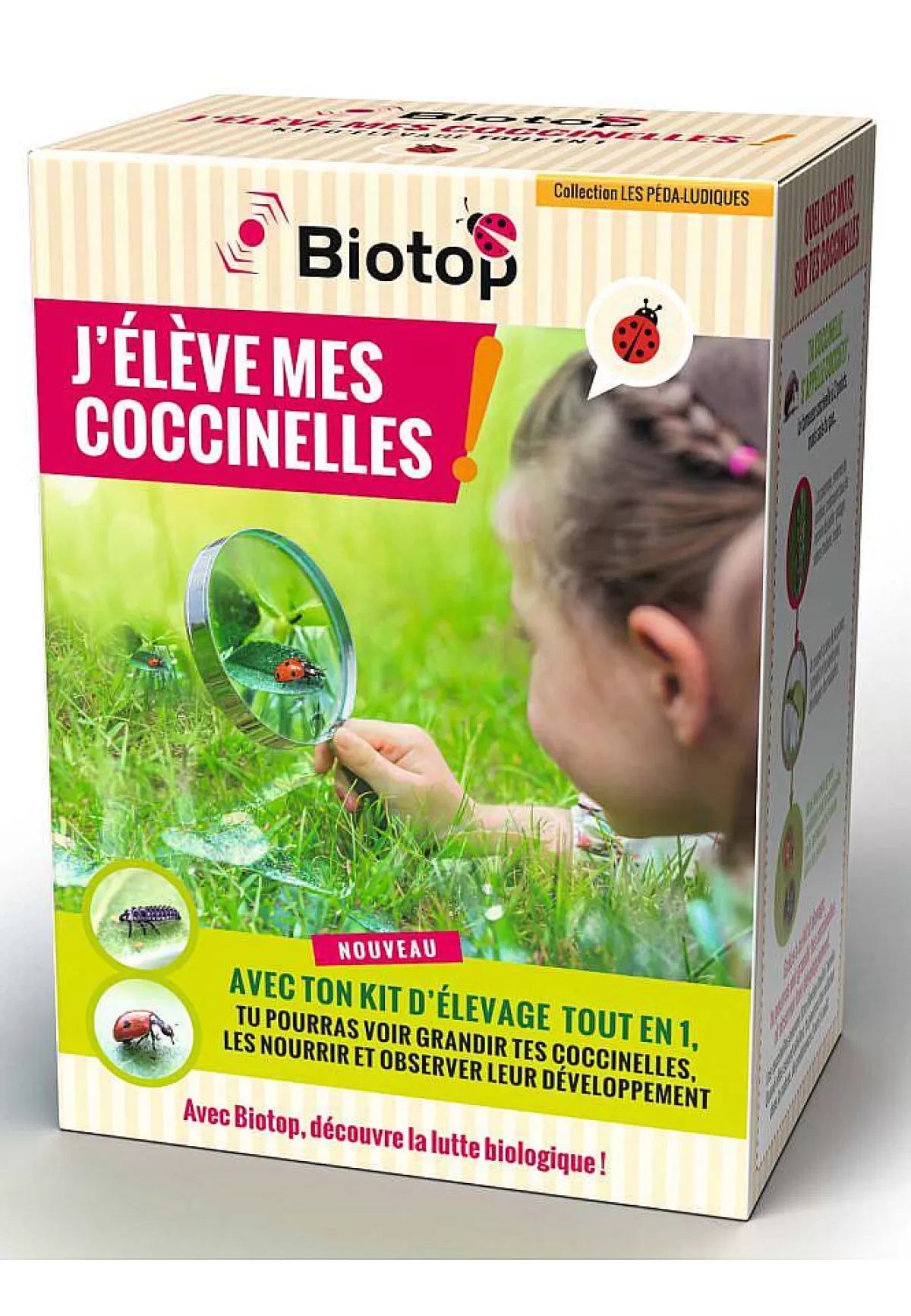 BIOTOP Kit D' Levage De Coccinelles Tout En 1 - Hot