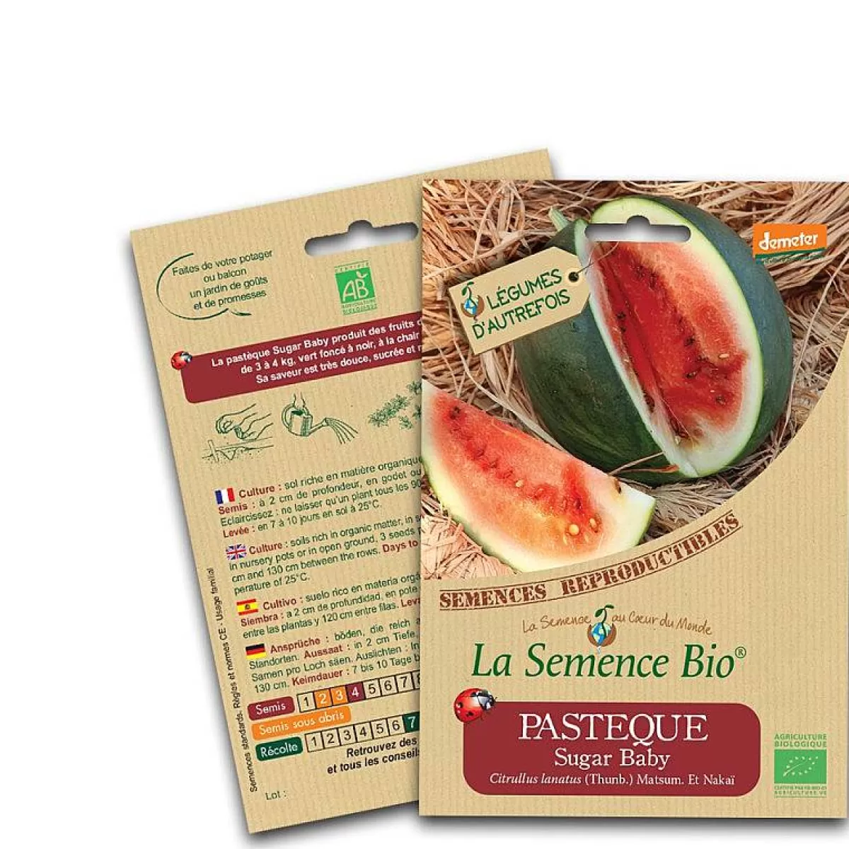 Lasemencebio Pasteque Sugar Baby Bio^ Semis Pour Fruits